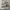 vans authentic  photo 1