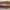 vans authentic  photo 5