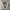 vans authentic  photo 2