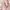 Ami paris Sweater Baby pink photo 5