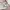 Polo ralph lauren Cardigan baby pink cable photo 5