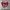 converse 70s red/white photo 2
