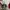converse 70s red/white photo 7