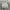 Knitwear V neck oversize Plan Z photo 1
