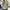 Knitwear V Neck Oversize Plan Z