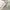 Knitwear V neck oversize Plan Z photo 3