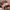 converse one star  photo 7