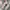 converse 70s white photo 1