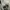 converse 70s white photo 6