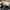 converse jackpurcell photo 6
