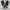 converse jackpurcell photo 3