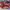 LOUIS VUITTON TRAINER UPCYCLE WHITE RED MULTIPLE COLOURS , L photo 5