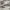vans era fullwhite photo 3