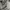 MINI DRESS MARC JACOB WOMEN ART photo 3
