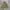 VTG HOODIE CAMO photo 1