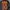 JACKET BOOMBER ROM ZOMBIR BIG LOGO photo 4