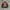 JACKET BOOMBER ROM ZOMBIR BIG LOGO photo 2