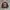 JACKET BOOMBER ROM ZOMBIR BIG LOGO