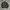 JACKET BOOMBER ROM ZOMBIR BIG LOGO photo 3