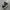 VANS SK8 HIGH photo 1