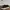 VANS AUTHENTIC SPORT POP BLACK WHITE GREEN photo 1