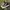 Converse All Star CT High  photo 1