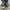 Converse bw High photo 4