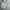 Rex Orange County Hoodie photo 1