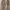 Converse low photo 5