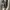 Converse low photo 2
