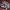 Jacket Adidas The Originals x The Farm Venice Beach photo 1