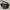 Eiger BTR Canvas Shoulder Bag Ws photo 1