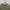Fear of God Streetwear Casual T-shirt Pria green gray photo 2