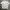 Black Yak T Shirt White