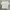Tate Signature T Shirt White photo 1