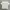 Tate Signature T Shirt White