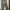 Cargo Pants Bershka