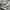 Adidas Three Stripes Windbreaker Big Spell Out photo 6