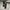 Adidas Three Stripes Windbreaker Big Spell Out photo 5