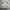 Adidas Three Stripes Windbreaker Big Spell Out photo 3