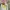 New Balance Casual Futurist Sneakers Pria yellow white photo 6
