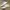 New Balance Casual Futurist Sneakers Pria yellow white photo 3