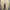 ZARA MAN Suede Chelsea Boot Size 42 Made in Albania photo 8