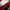 Vintage Jumpsuit Wanita burgundy red photo 4