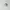Salomon Aero Glide Bleached Sand Yucca photo 1