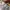 FADDING JEANS LHL photo 7