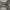 running nike vaporfly next %3 photo 3