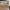 running nike vaporfly next %3 photo 2