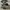 Salomon Xt6 Black Grey