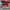 Vans Velcro Red Japan Market